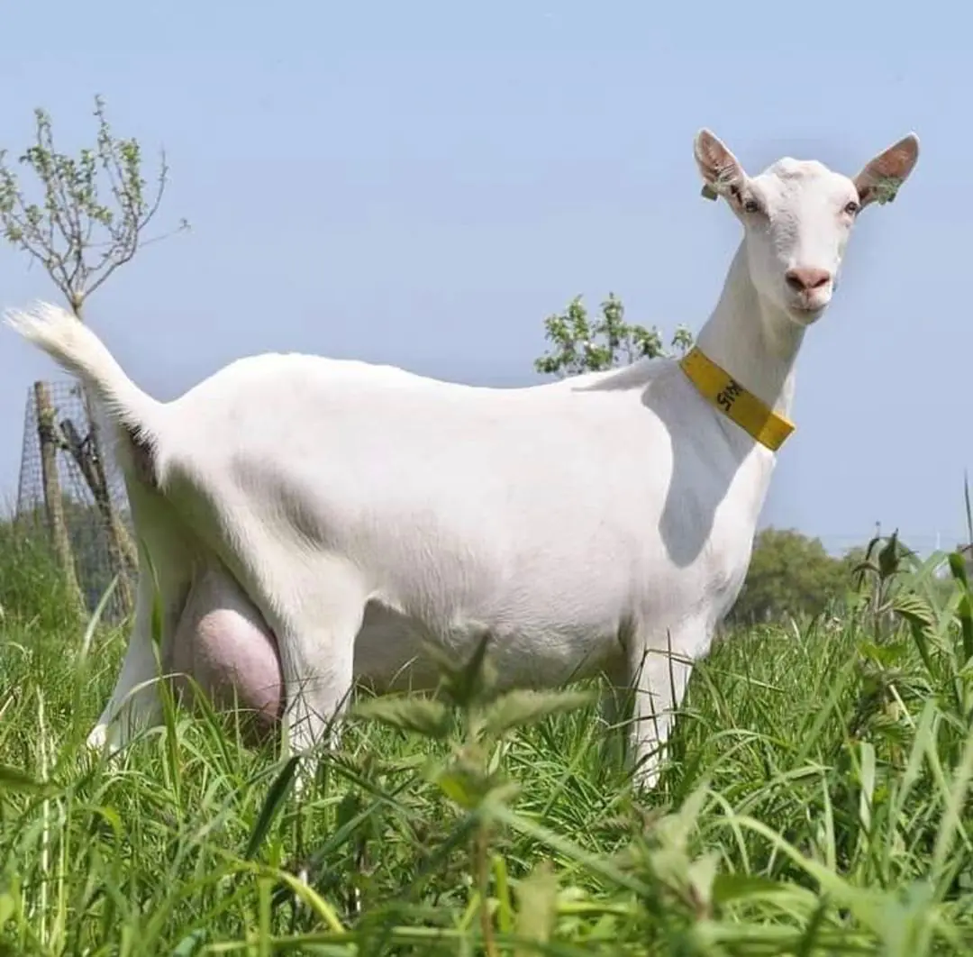 من خير الأرض.. لصحة أسرتك